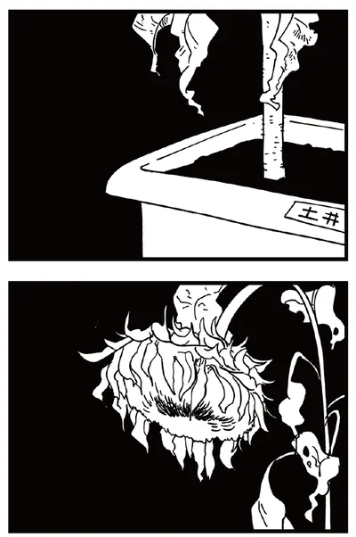枯れたひまわり