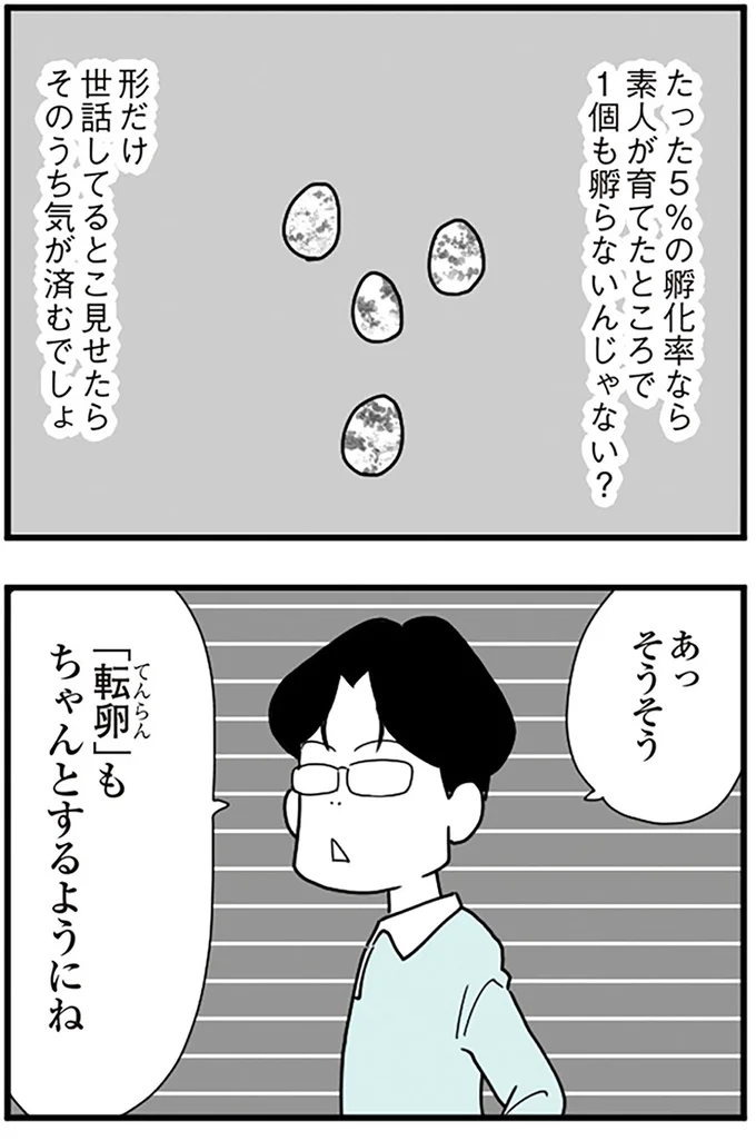 そうそう、転卵もちゃんとするようにね