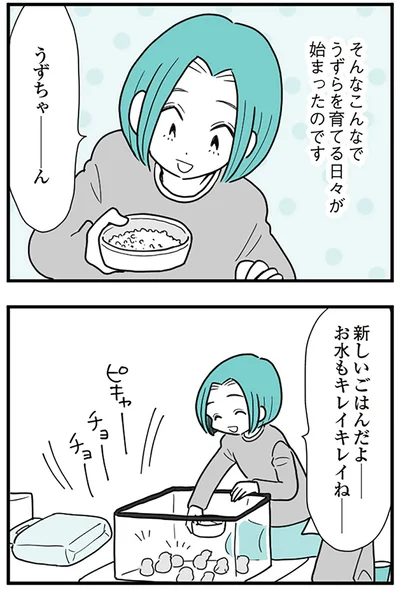 そんなこんなでうずらを育てる日々が始まったのです