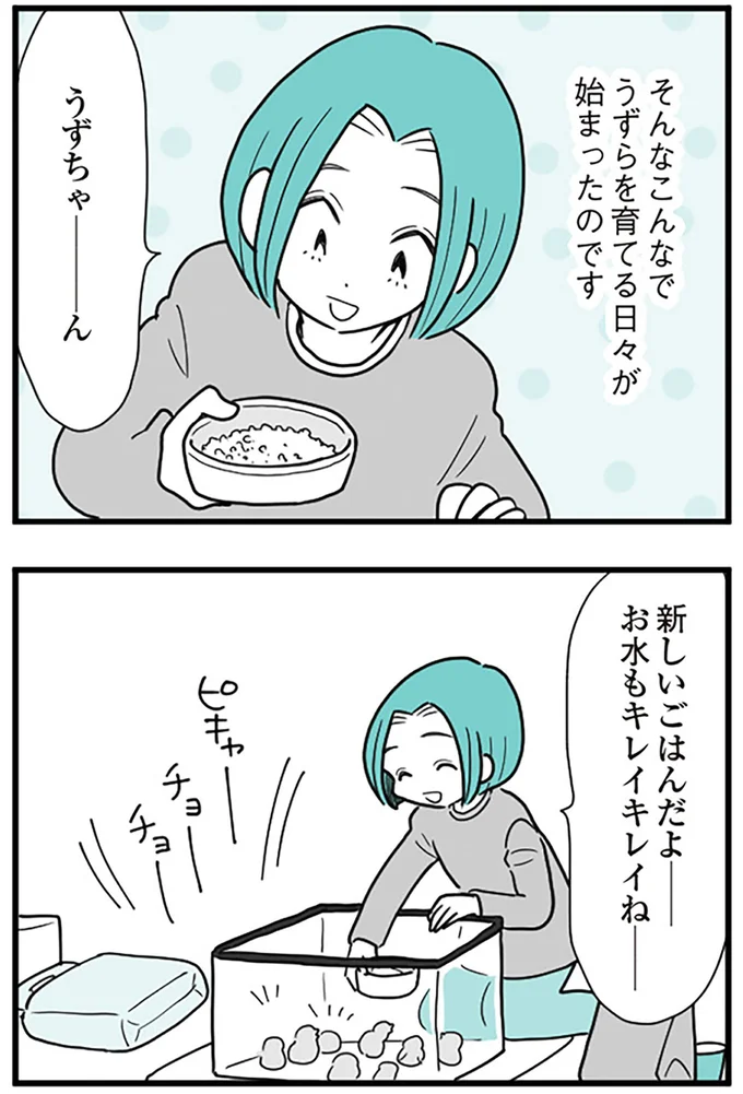 そんなこんなでうずらを育てる日々が始まったのです