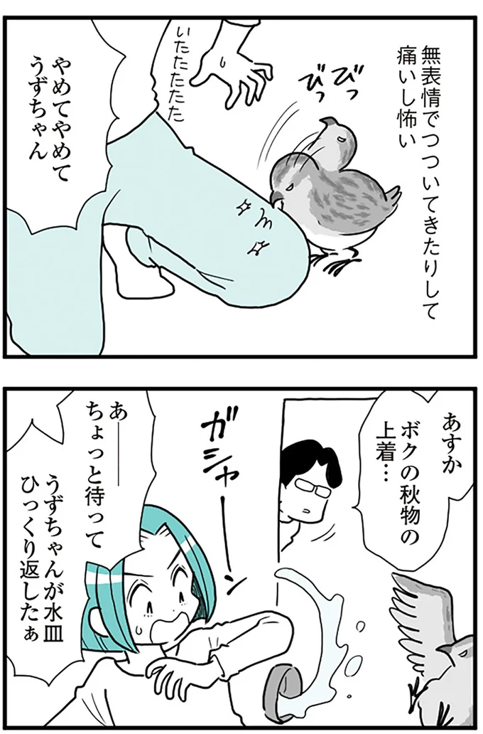 やめてやめてうずちゃん