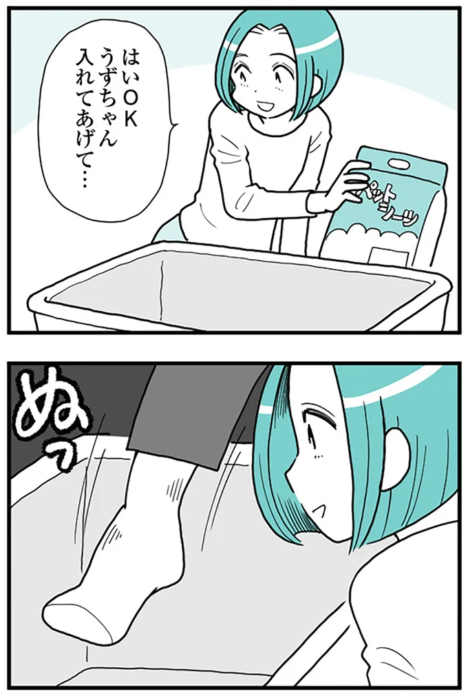 はいOK、うずちゃん入れてあげて