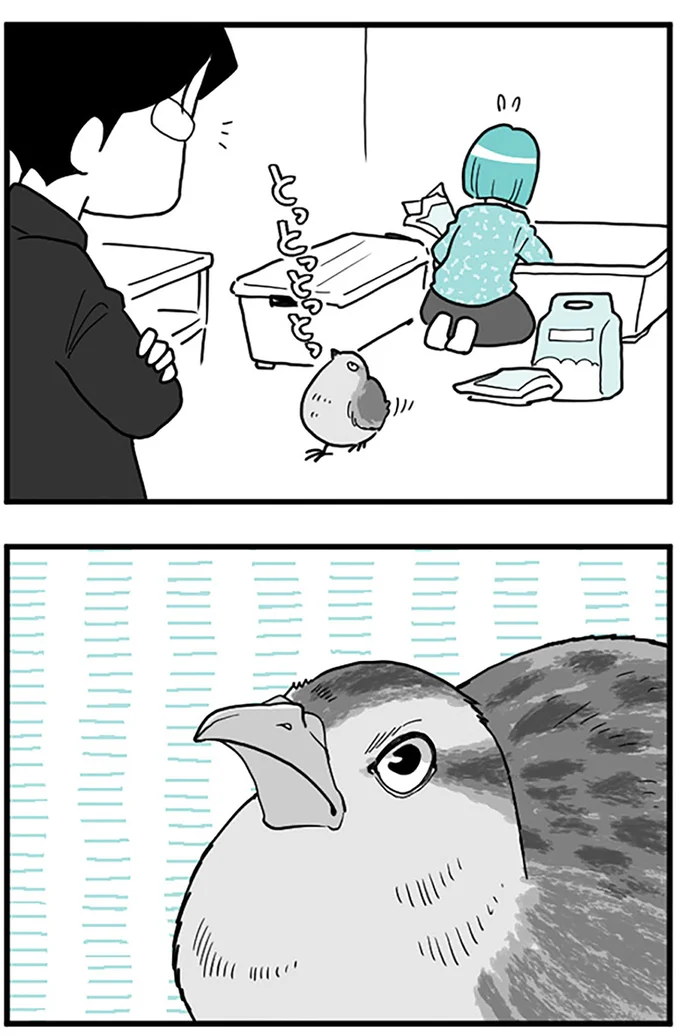 とっとっとっとっ