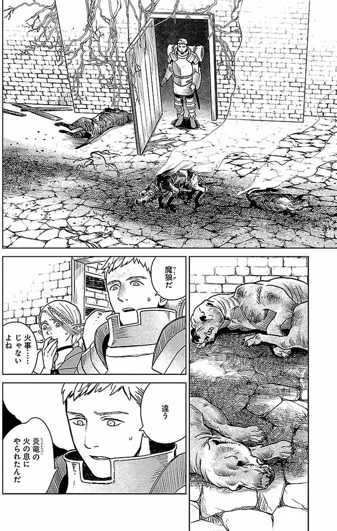 炎龍の火の息にやられたんだ