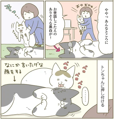 ややっ　あんなところに