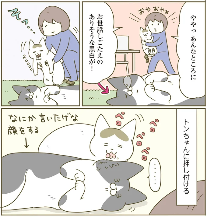 ややっ あんなところに
