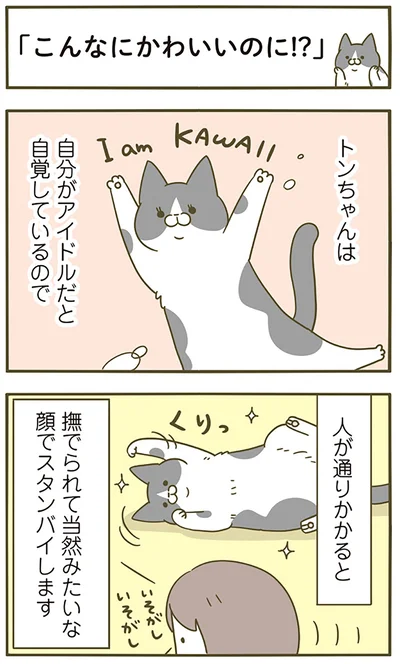 こんなにかわいいのに!?