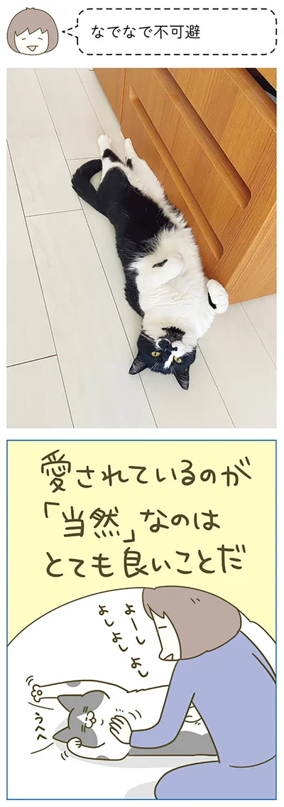 なでなで不可避です！
