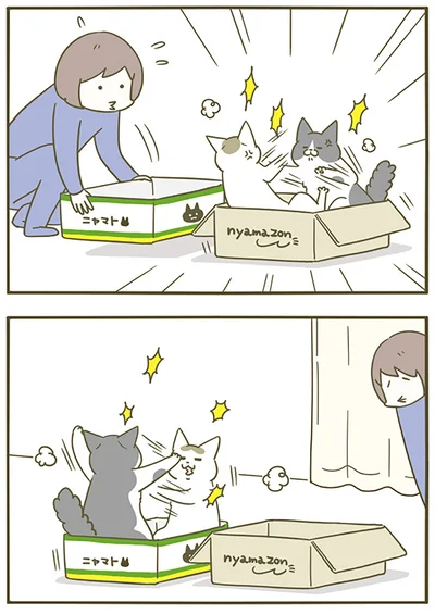 『うちの猫がまた変なことしてる。5』より