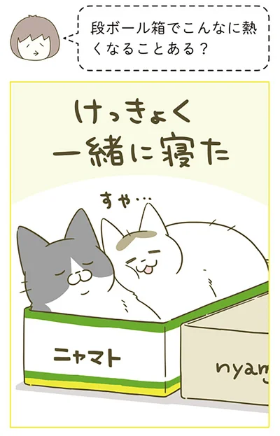 『うちの猫がまた変なことしてる。5』より