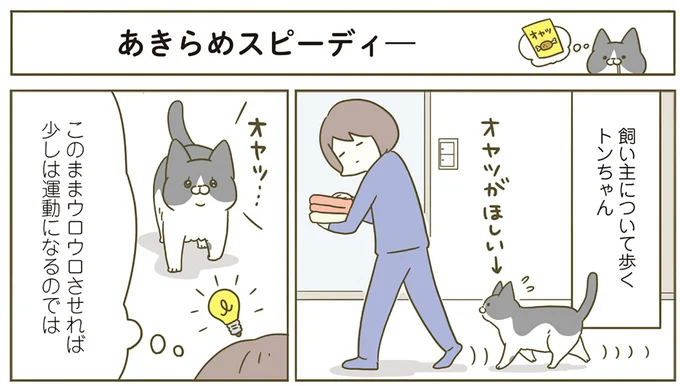 『うちの猫がまた変なことしてる。5』より