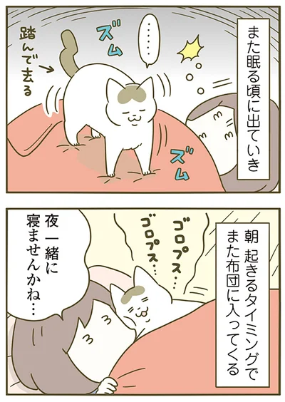 『うちの猫がまた変なことしてる。5』より