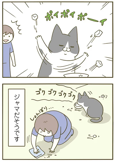 『うちの猫がまた変なことしてる。5』より