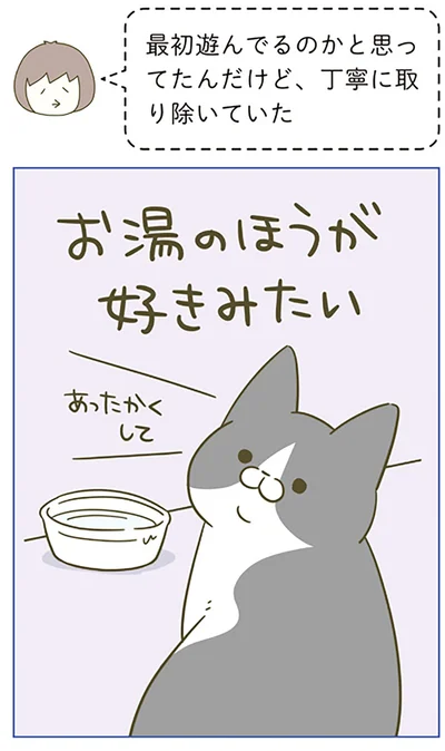 『うちの猫がまた変なことしてる。5』より