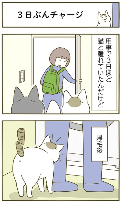 『うちの猫がまた変なことしてる。5』より