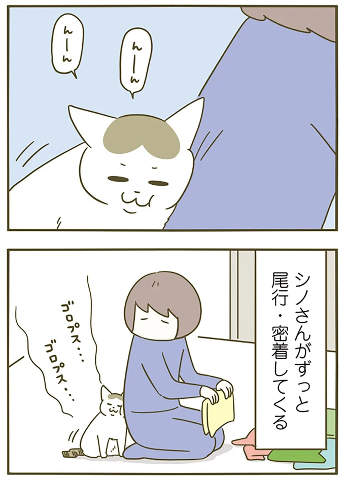 『うちの猫がまた変なことしてる。5』より