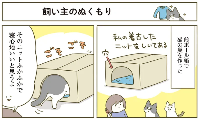 『うちの猫がまた変なことしてる。5』より