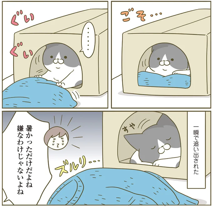 『うちの猫がまた変なことしてる。5』より
