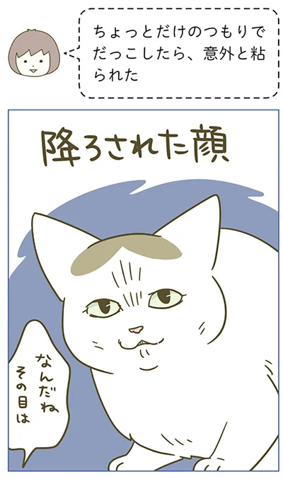 『うちの猫がまた変なことしてる。5』より
