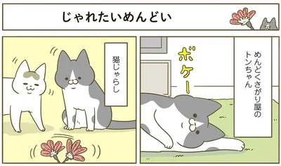 『うちの猫がまた変なことしてる。5』より