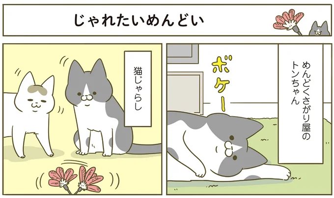 『うちの猫がまた変なことしてる。5』より