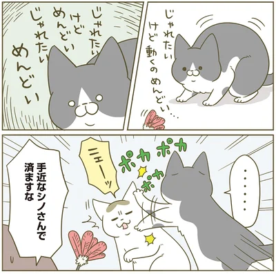 『うちの猫がまた変なことしてる。5』より