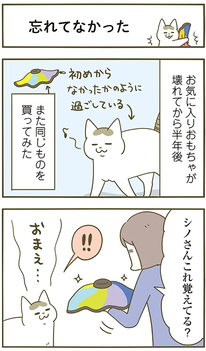 『うちの猫がまた変なことしてる。5』より