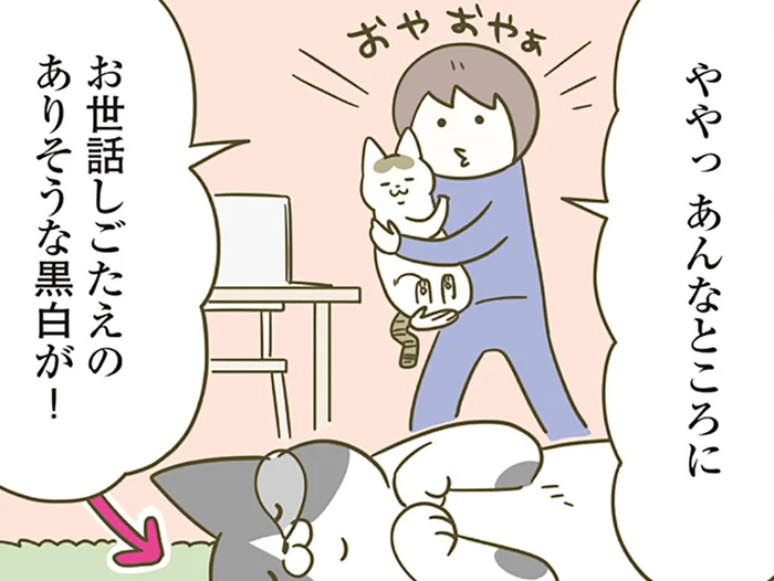 お世話されすぎて集中できない！ 飼い主が猫を連れて向かった先は