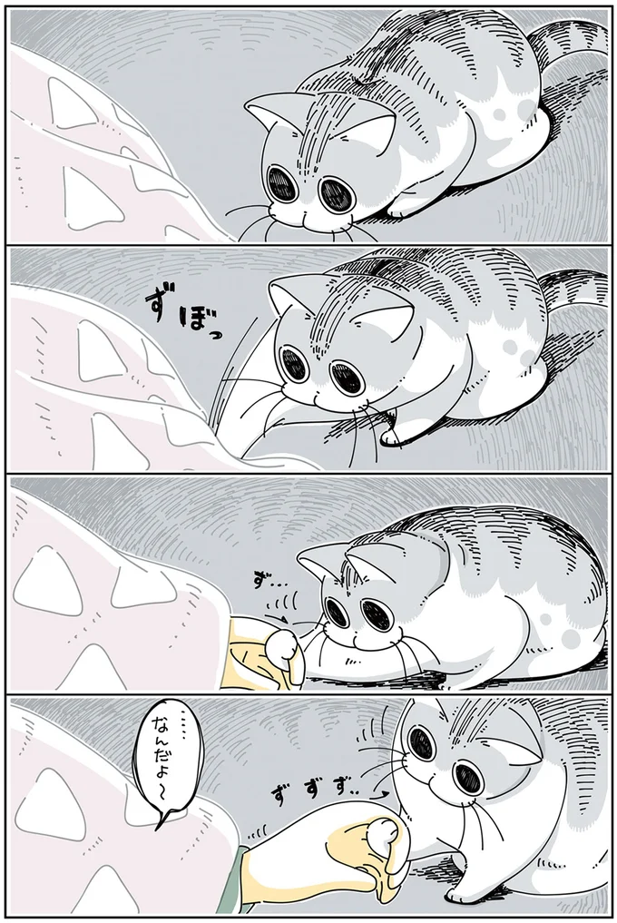 『夜は猫といっしょ 3』より