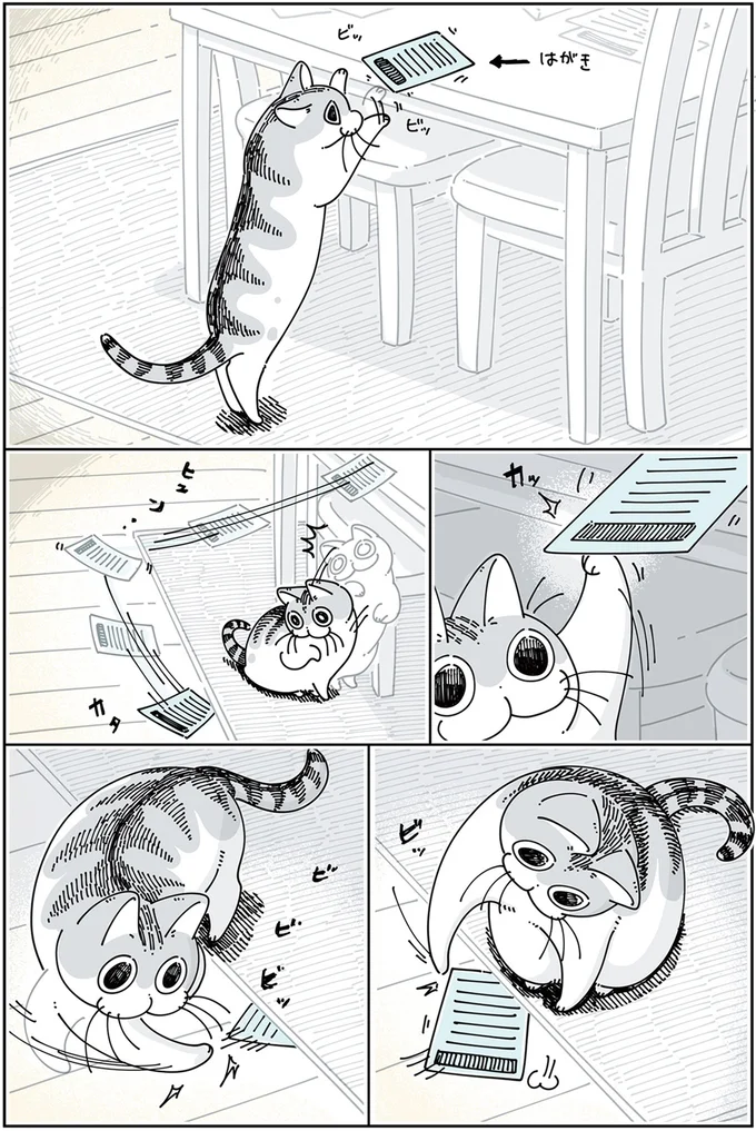 『夜は猫といっしょ 3』より