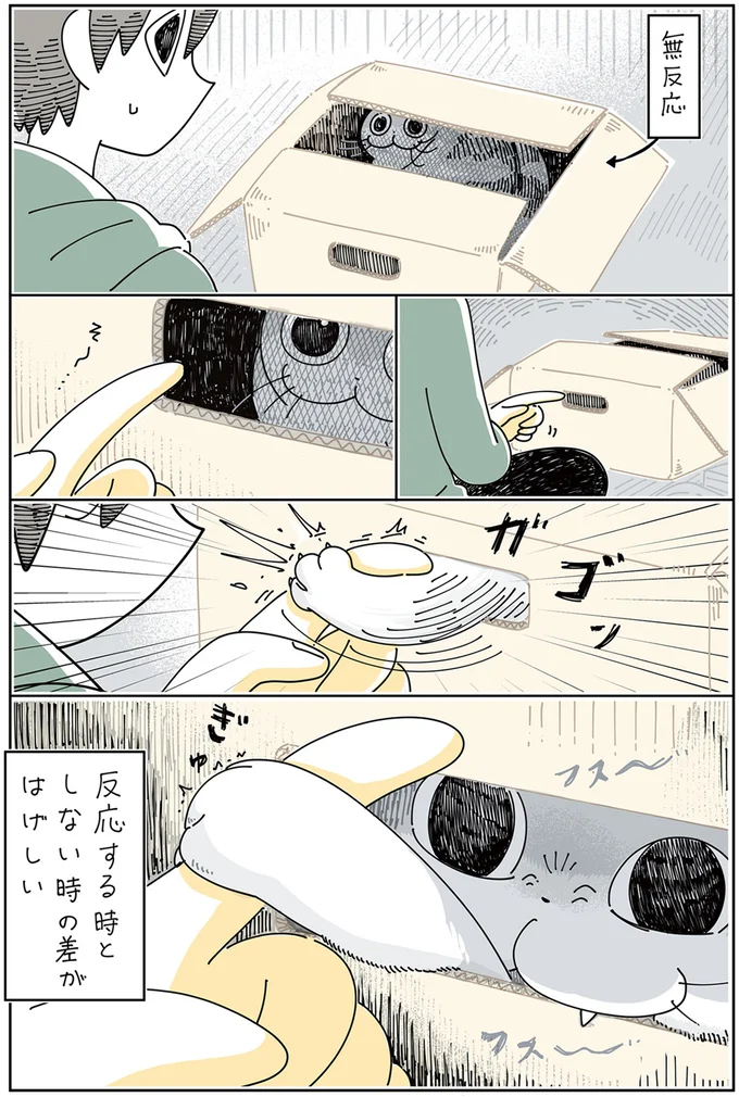 『夜は猫といっしょ 3』より