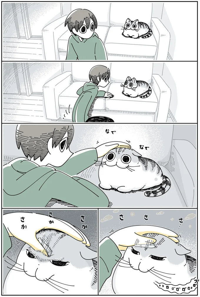 『夜は猫といっしょ 3』より