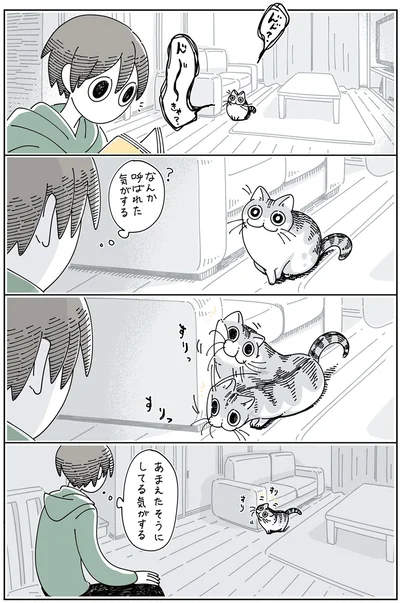 『夜は猫といっしょ 3』より
