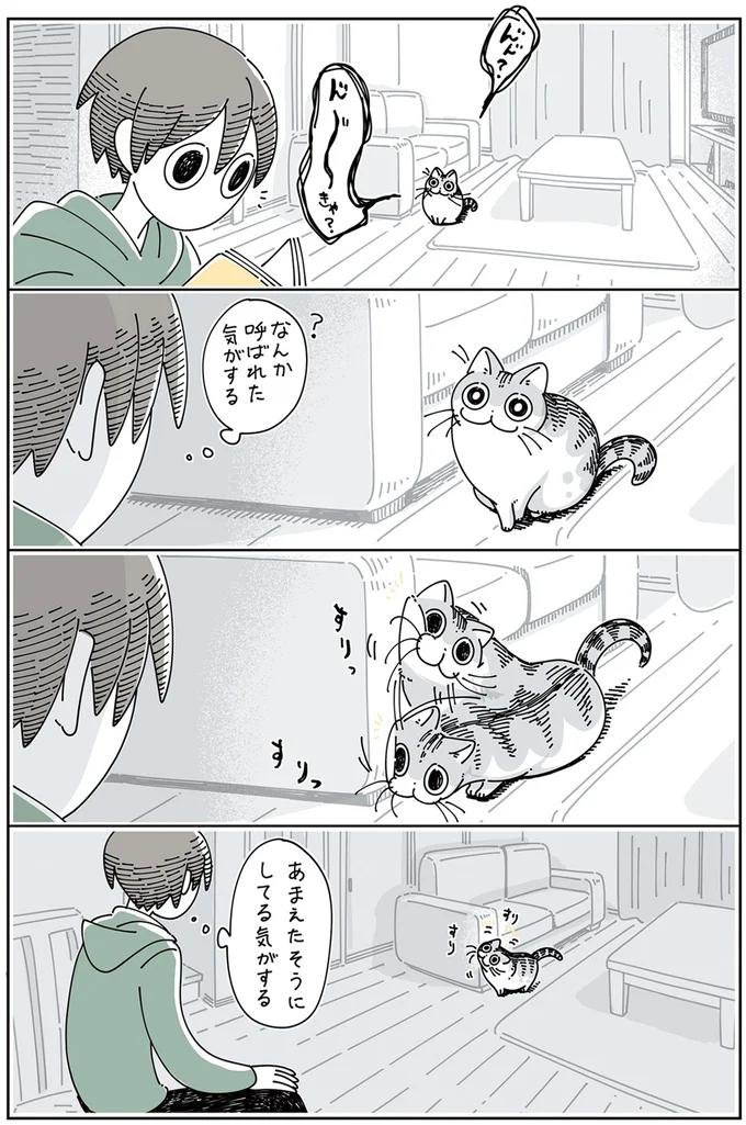 『夜は猫といっしょ 3』より