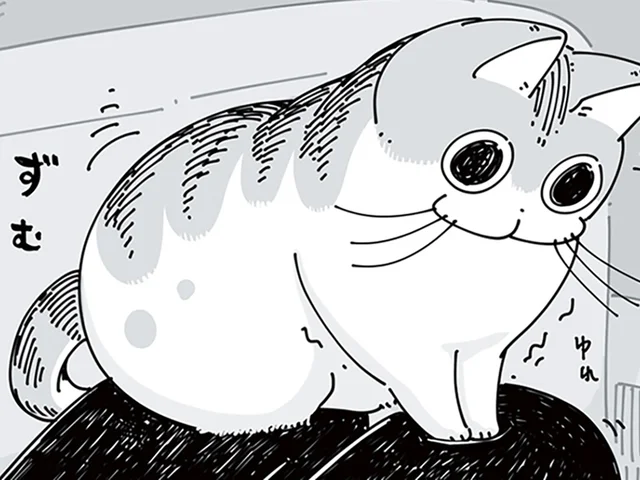 なぜそこ!? バランスも悪い不安定な場所で、うっとりくつろぎたがるネコの不思議