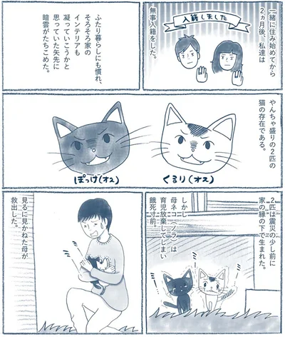 『わたしのウチには、なんにもない。 「物を捨てたい病」を発症し、今現在に至ります』より