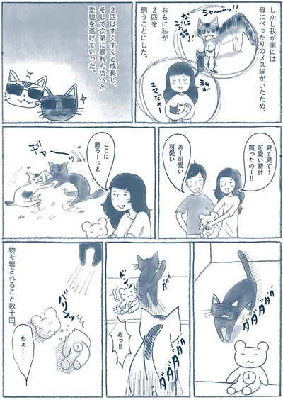 『わたしのウチには、なんにもない。 「物を捨てたい病」を発症し、今現在に至ります』より
