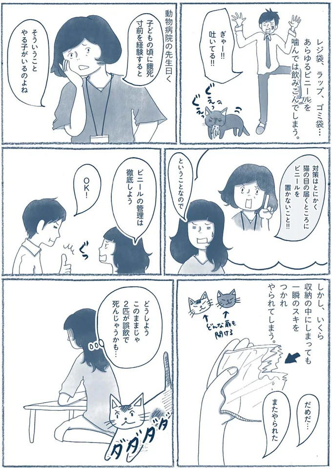 『わたしのウチには、なんにもない。 「物を捨てたい病」を発症し、今現在に至ります』より