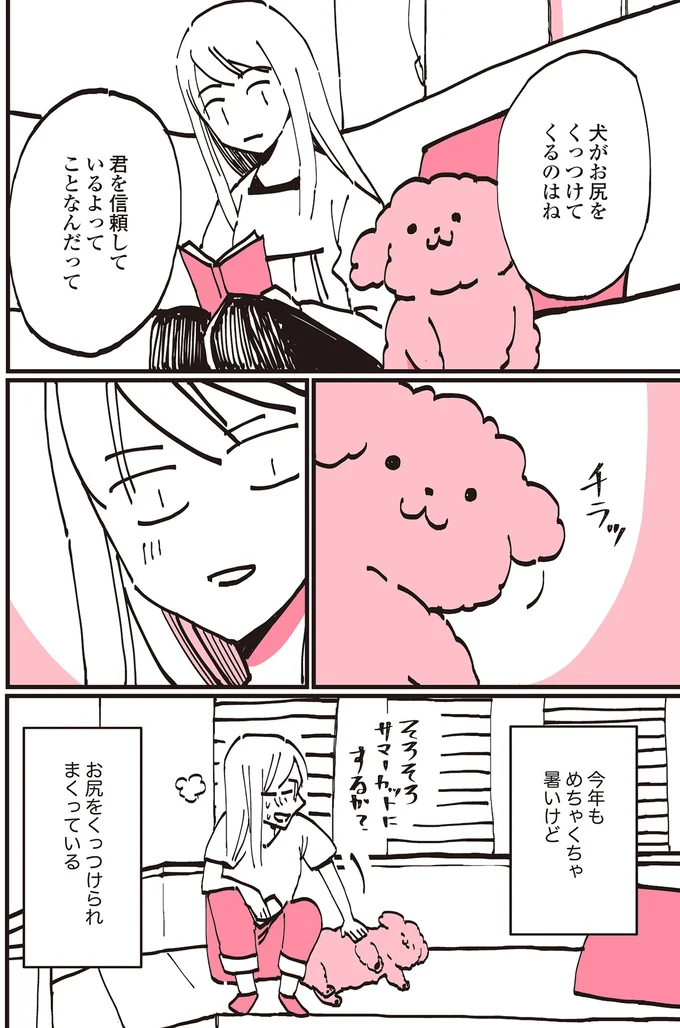 『うちのトイプーがアイドルすぎる。』より