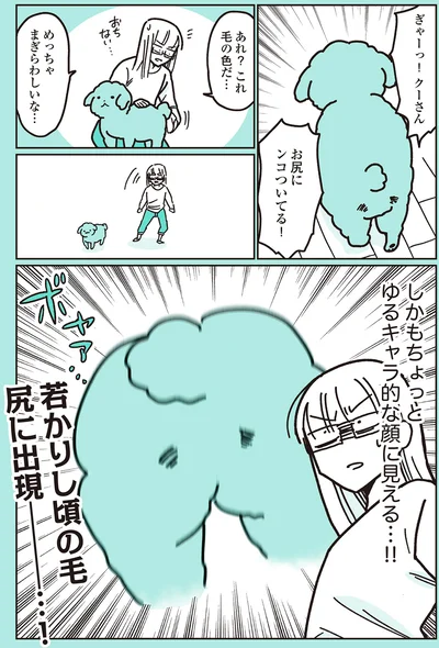『うちのトイプーがアイドルすぎる。』より