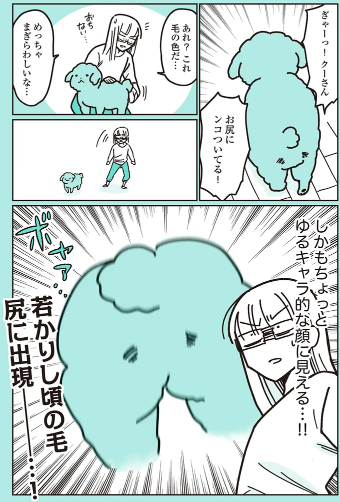 『うちのトイプーがアイドルすぎる。』より