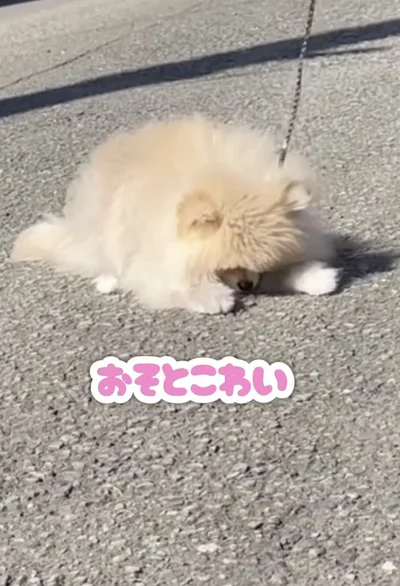 お外怖い〜！（⇒次へ）
