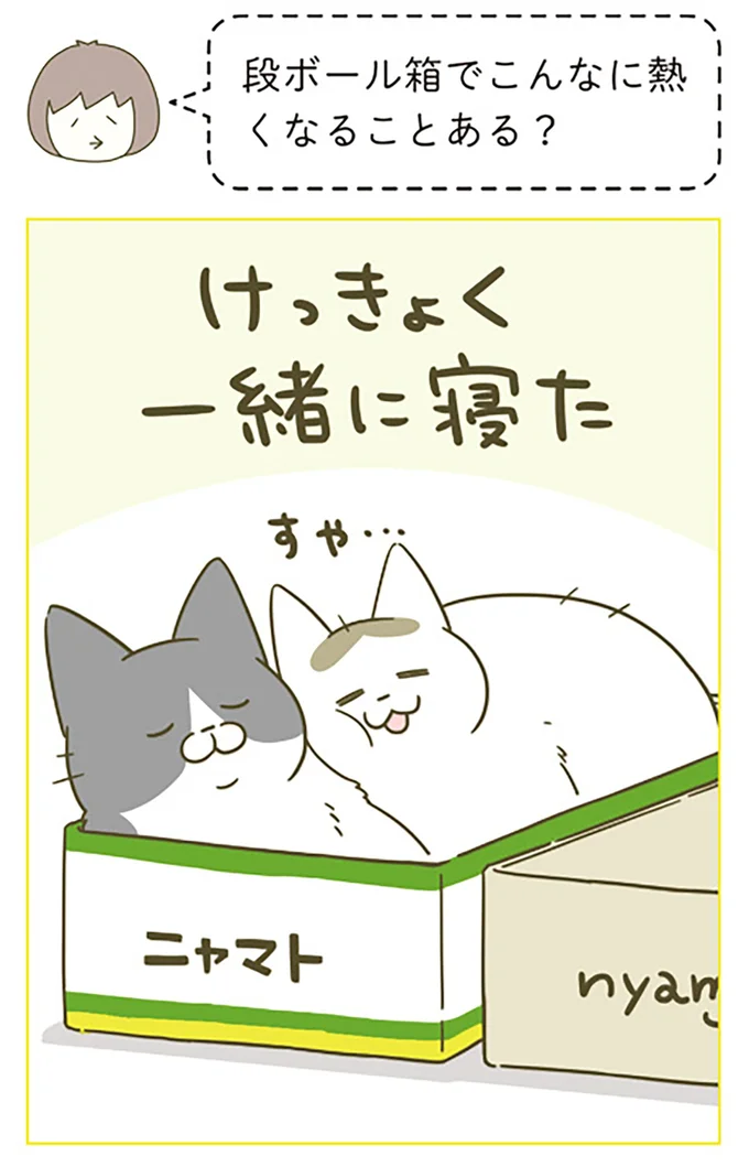 段ボール箱でこんなに熱くなることある?