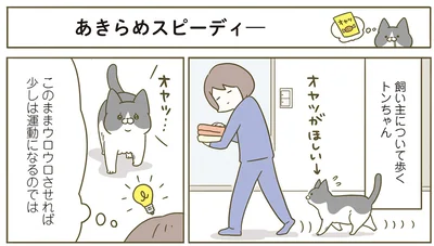 このままウロウロさせれば少しは運動になるのでは