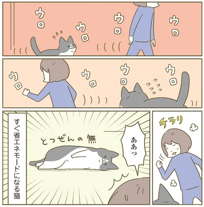 とつぜんの無