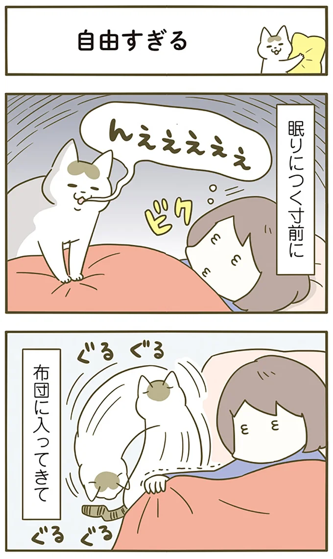 眠りにつく寸前に
