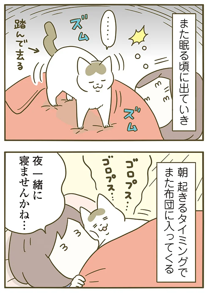 夜一緒に寝ませんかね…