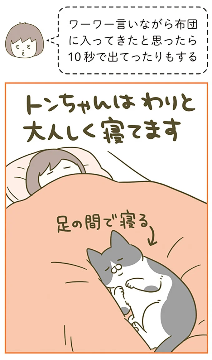 足の間で寝る
