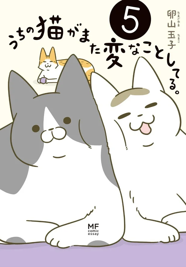 猫たちは今日もモフモフ＆フリーダム！『うちの猫がまた変なことしてる。5』