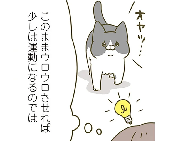 少しは運動をさせねば！ 飼い主の行動に猫を連れ回してみた結果